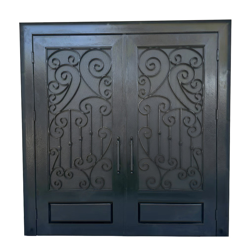 Fortis-Security Entrance Door